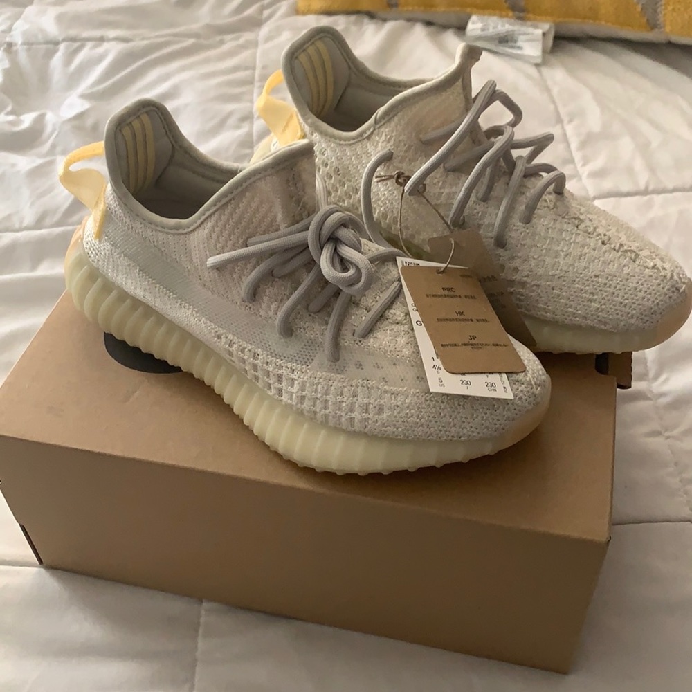 Yeezy boost 350 v2